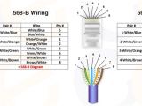 Cat5 Module Wiring Diagram Rj45 Cat5e Wiring Diagram Wiring Diagram Name