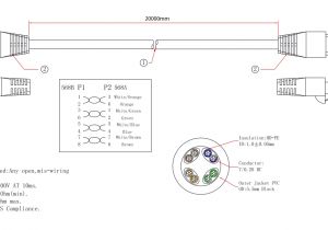 Cat5 to Dmx Wiring Diagram Cat5 Rj45 Wiring Diagram 568b Wiring Diagrams All Cat5 to Dmx Wiring Diagram Cat5 Rj45 Wiring Diagram 568b Wiring Diagrams All