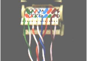 Cat5 Wall Plate Wiring Diagram Cat5 Wiring Diagram Wall Plate Australia Karepe Opo Cat5 Wall Plate Wiring Diagram Cat5 Wiring Diagram Wall Plate Australia Karepe Opo