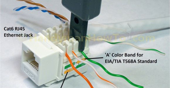 Cat5 Wall Plate Wiring Diagram Network Jack Wiring Blog Wiring Diagram