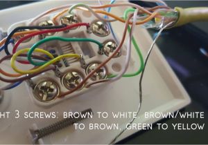 Cat5 Wall Plate Wiring Diagram Network Jack Wiring Pro Wiring Diagram Cat5 Wall Plate Wiring Diagram Network Jack Wiring Pro Wiring Diagram