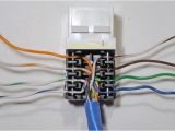 Cat5 Wall Plate Wiring Diagram Network Jack Wiring Pro Wiring Diagram Cat5 Wall Plate Wiring Diagram Network Jack Wiring Pro Wiring Diagram