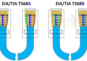 Cat5e Network Cable Wiring Diagram Crimp Cat 6 Wire Diagram Wiring Diagram Data