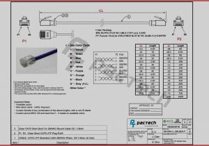 Cat5e Network Cable Wiring Diagram Lan Cable Pinout Wiring Diagram Database