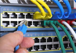 Cat5e Patch Panel Wiring Diagram Patch Cable Types and Uses