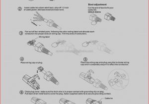 Cat5e socket Wiring Diagram Cat5e Wiring Jack Diagram Wiring Diagram Database Cat5e socket Wiring Diagram Cat5e Wiring Jack Diagram Wiring Diagram Database