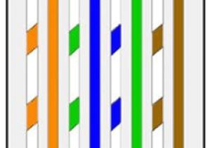 Cat5e Straight Through Wiring Diagram 70 Best Ethernet Images Home Network Ethernet Cable