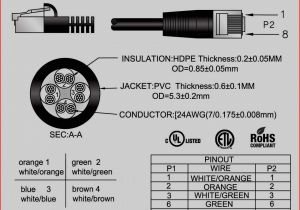 Cat5e Wall socket Wiring Diagram Cat5e Rj45 Plug Wiring Diagram Wiring Diagram Center