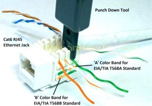 Cat5e Wall socket Wiring Diagram Rj45 Wall Schematic Wiring Diagram Wiring Diagram Centre