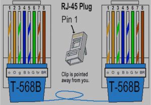 Cat5e Wiring Diagram 568b Cat 5 Schematic Wiring Wiring Diagram
