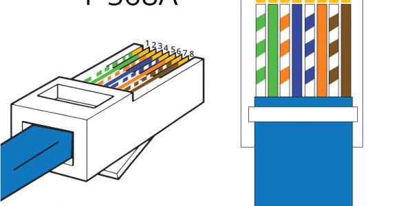 Cat5e Wiring Diagram 568b Cat5e Wiring Diagram End Wiring Diagram