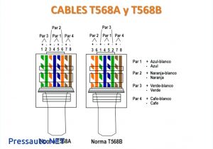 Cat5e Wiring Diagram A or B Cat 5 Wiring Diagram Pdf Free Wiring Diagram Cat5e Wiring Diagram A or B Cat 5 Wiring Diagram Pdf Free Wiring Diagram
