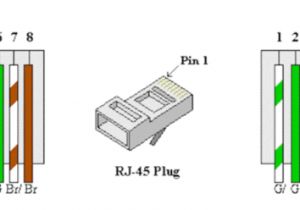 Cat5e Wiring Diagram A or B Cat 5b Wiring Diagram