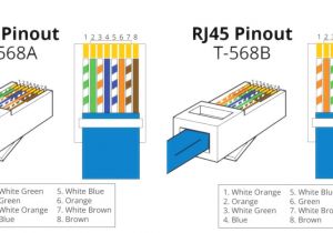 Cat5e Wiring Diagram A or B Cat 5e Wiring End Wiring Diagrams Cat5e Wiring Diagram A or B Cat 5e Wiring End Wiring Diagrams