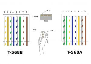 Cat5e Wiring Diagram A or B Cat5e Wiring Diagram Australia Cable A Cat 5 Connectors Cat5e Wiring Diagram A or B Cat5e Wiring Diagram Australia Cable A Cat 5 Connectors