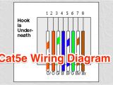 Cat5e Wiring Diagram A or B Cat5e Wiring Diagram Resource Detail