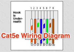 Cat5e Wiring Diagram A or B Cat5e Wiring Diagram Resource Detail