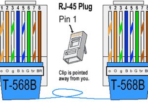 Cat5e Wiring Diagram A or B How to Make A Cat5e Network Cable Miscellaneous Items