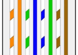 Cat5e Wiring Diagram A or B March 2013 Wirings for Knowledge Cat5e Wiring Diagram A or B March 2013 Wirings for Knowledge