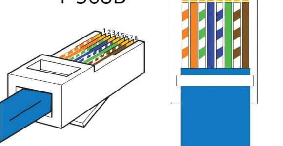 Cat5e Wiring Diagram A or B Wiring Diagram Cat5e