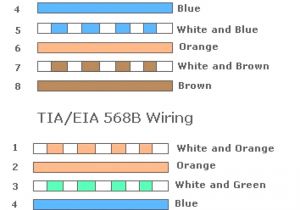 Cat6 Crossover Cable Wiring Diagram Ethernet Ab Wiring Diagram Wiring Diagram Rows
