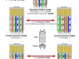 Cat6 Crossover Cable Wiring Diagram Phone Cat 5 Wiring Diagram Wiring Diagram Perfomance