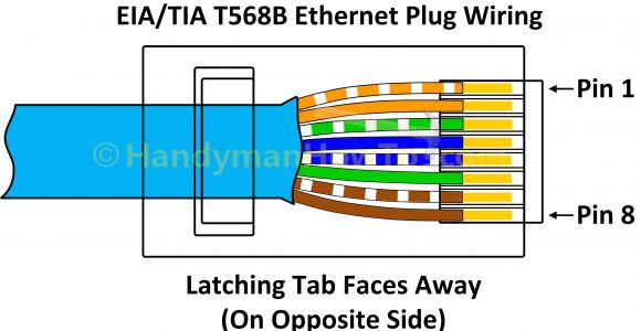 Cat6 Ethernet Cable Wiring Diagram Ethernet Cable to Rca Diagram Data Schematic Diagram