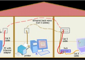 Cat6 Home Wiring Diagram Wiring A Network Cable Home Wiring Diagrams Value