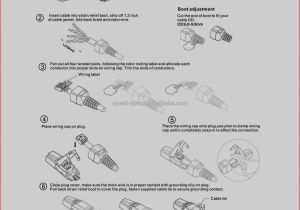 Cat6 Keystone Wiring Diagram Cat6 Keystone Jack Wiring Wiring Diagram Database