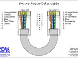 Cat6 Network Cable Wiring Diagram 6wirepatch for Cat6 Cable Wiring Diagram Cables In 2019 Ethernet