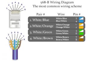 Cat6 Patch Cable Wiring Diagram Cat6 568 B Wiring Diagram On Cat6 Cable Wiring Diagram Cables In