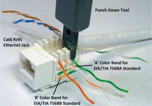 Cat6 Patch Cable Wiring Diagram Cat6 B Wiring Diagram Wiring Diagram