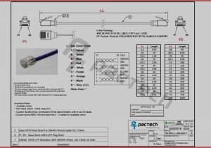 Cat6 Patch Panel Wiring Diagram Cat 5 Patch Cable Wiring Diagram Wiring Diagram Database