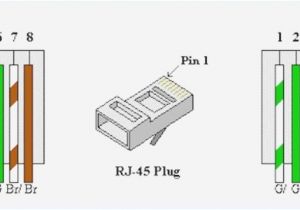Cat6 Plug Wiring Diagram Cat Cable Diagram Use Wiring Diagram Cat6 Plug Wiring Diagram Cat Cable Diagram Use Wiring Diagram