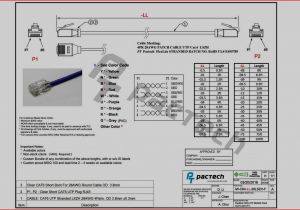 Cat6 Plug Wiring Diagram Ethernet Plug Wiring Diagram Wiring Diagram Database