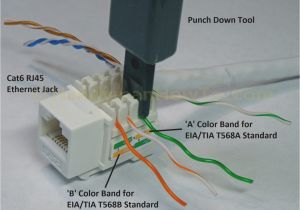 Cat6 socket Wiring Diagram Cat 6 Ethernet Wall Jack Wiring Wiring Diagram Blog