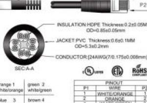 Cat6 socket Wiring Diagram Cat5 Wall Plate Wiring Diagram and Cat 6 Wiring Diagram for Wall