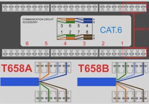 Cat6 Wire Diagram Cat 6 Ethernet Wall Jack Wiring Wiring Diagram Site