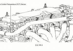 Cavalier Wiring Diagram 2001 Chevy Cavalier thermostat Location Diagram Related Images