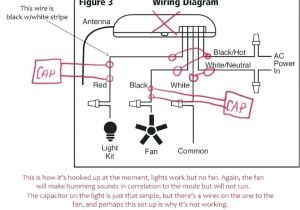 Cbb61 Capacitor 4 Wire Diagram Cbb61 Fan Capacitor Wiring Diagram Database