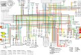 Cbr 600 F3 Wiring Diagram 1989 Cbr 600 Wiring Diagram Tuli Repeat24 Klictravel Nl