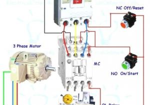 Ce Set Motor Wiring Diagram 3 Phase Contactor Wiring Diagram Start Stop Electrical