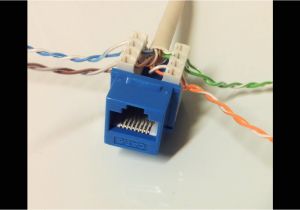 Ce Tech Cat6 Jack Wiring Diagram Cat6 Jack Wiring Pro Wiring Diagram