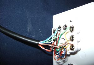 Ce Tech Ethernet Wall Plate Wiring Diagram Ce Tech Cat5e Wire Diagram Wiring Diagram Ce Tech Ethernet Wall Plate Wiring Diagram Ce Tech Cat5e Wire Diagram Wiring Diagram