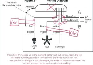 Ceiling Fan 2 Wire Capacitor Wiring Diagram 5 Wire Capacitor Wiring Diagram Wiring Diagram Info
