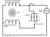 Ceiling Fan Capacitor Wiring Diagram 5 Wire Fan Motor Diagram Wiring Diagram