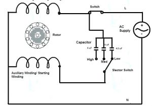Ceiling Fan Capacitor Wiring Diagram 5 Wire Fan Motor Diagram Wiring Diagram