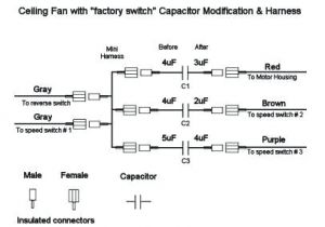 Ceiling Fan Capacitor Wiring Diagram Wiring A Ceiling Fan with 4 Wires Shopngo Co