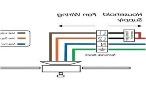 Ceiling Fan Diagram Wiring Hunter Ceiling Fan Wiring Diagrams Insidehighered Co Ceiling Fan Diagram Wiring Hunter Ceiling Fan Wiring Diagrams Insidehighered Co