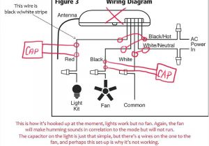 Ceiling Fan Diagram Wiring Hunter Fans Wiring Diagram Best Wiring Diagram